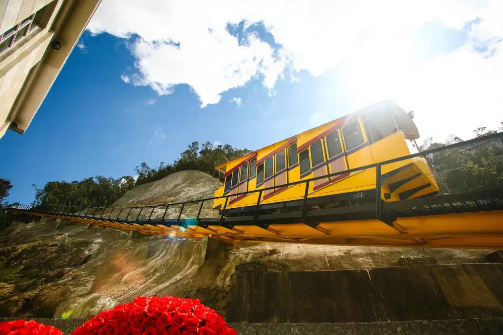 Tapeta Na Dveře