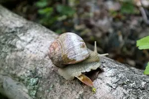 Stavební Povolení Zahradní Domek
